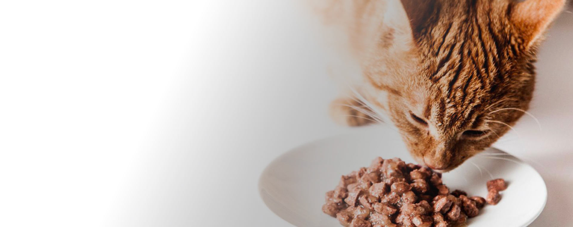 Équilibre, amour et soins :la recette du