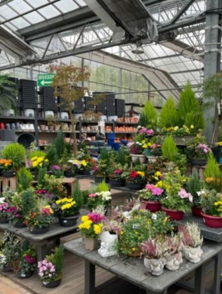 Marché aux fleurs