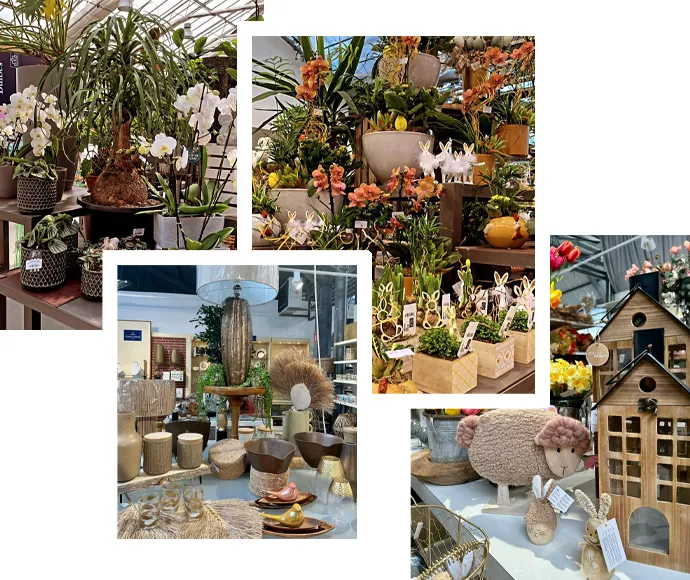 Carte Cadeau Paquet Jardin