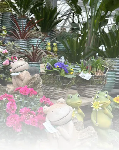 Plantes &<br>Accessoires