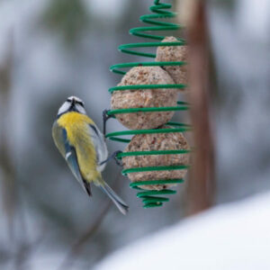 Alimentation<br>oiseaux