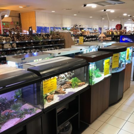 Aquariums &<br>équipements