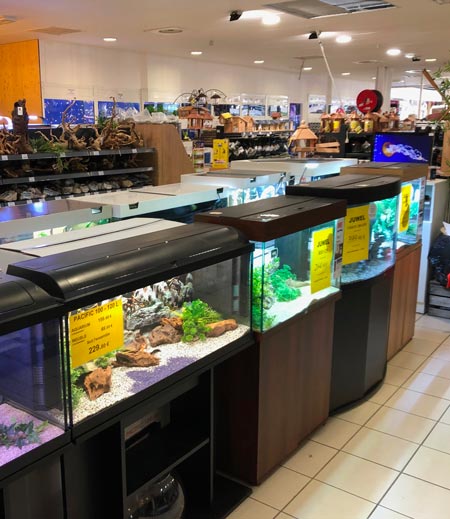Le bien-être des poissons,notre engagement pour un océan de