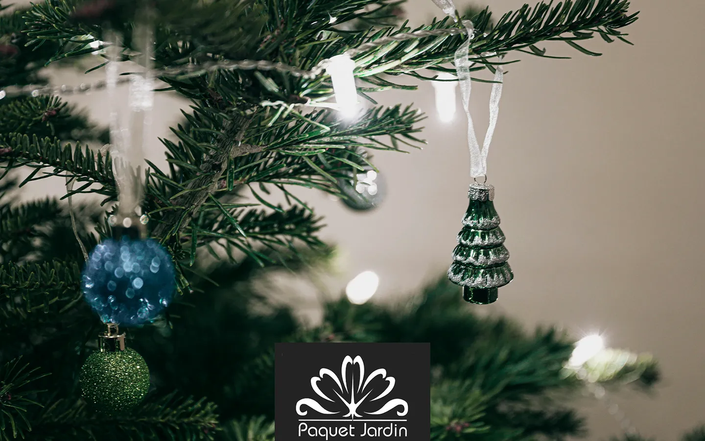 Idées de cadeaux pour les passionnés de jardinage