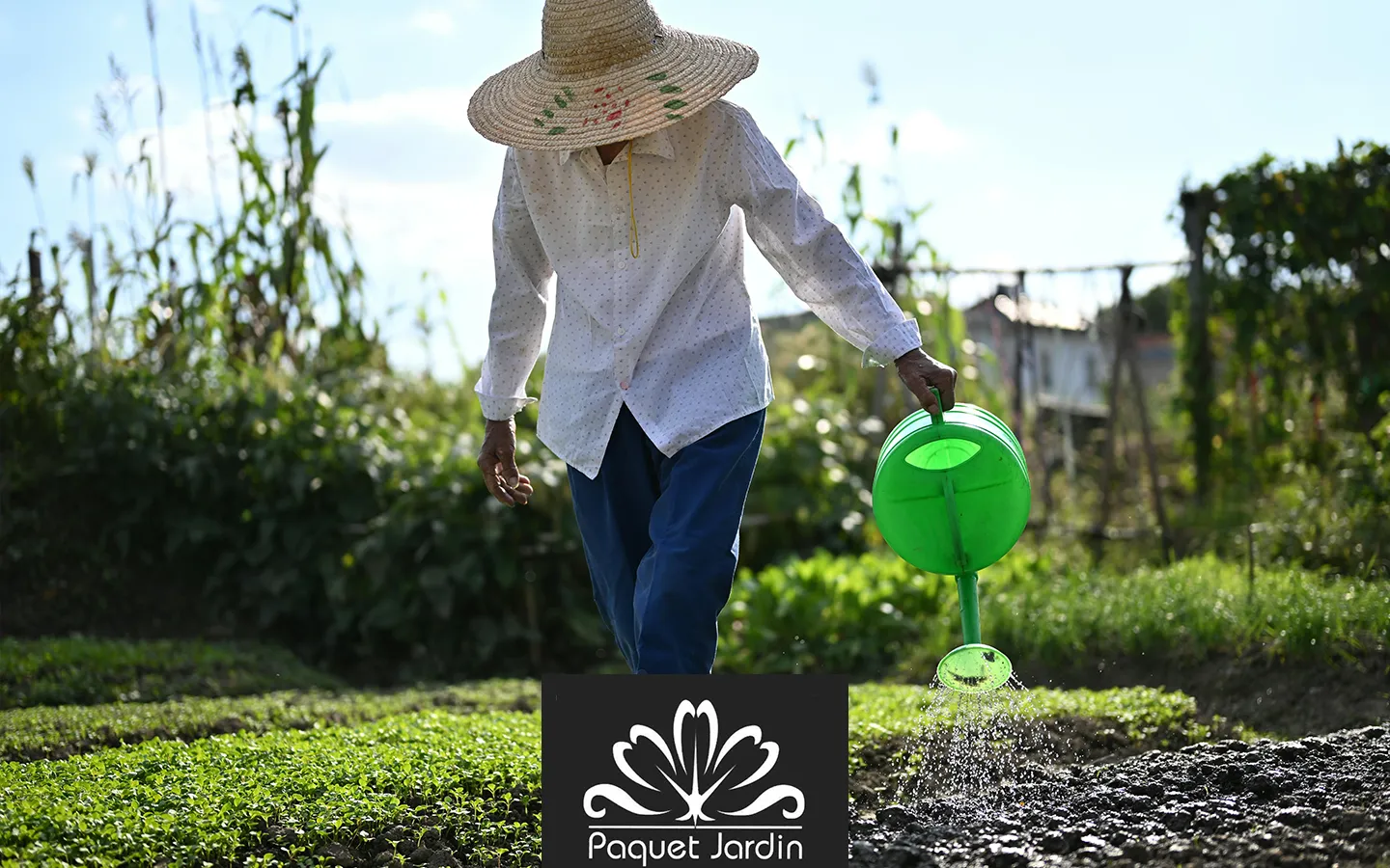 Protéger son jardin des fortes chaleurs et optimiser l'arrosage
