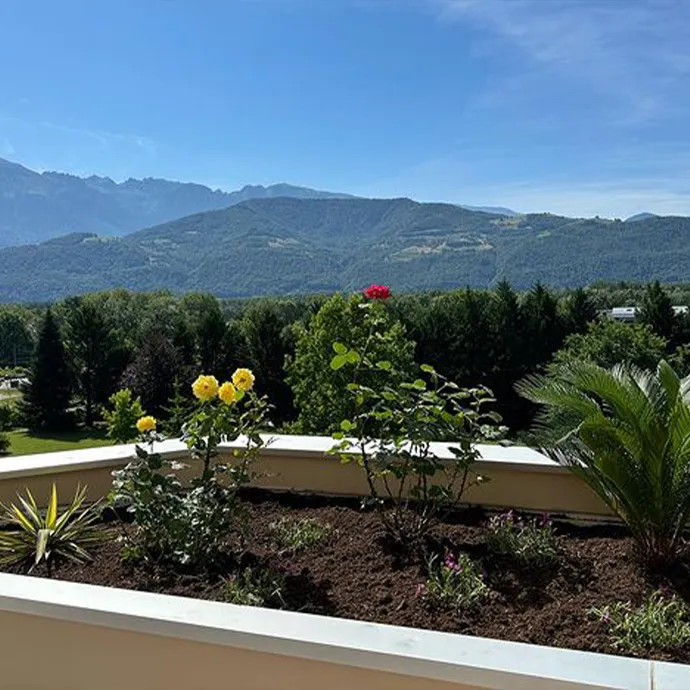 Le printemps arrive dans notre pépinière 🌱