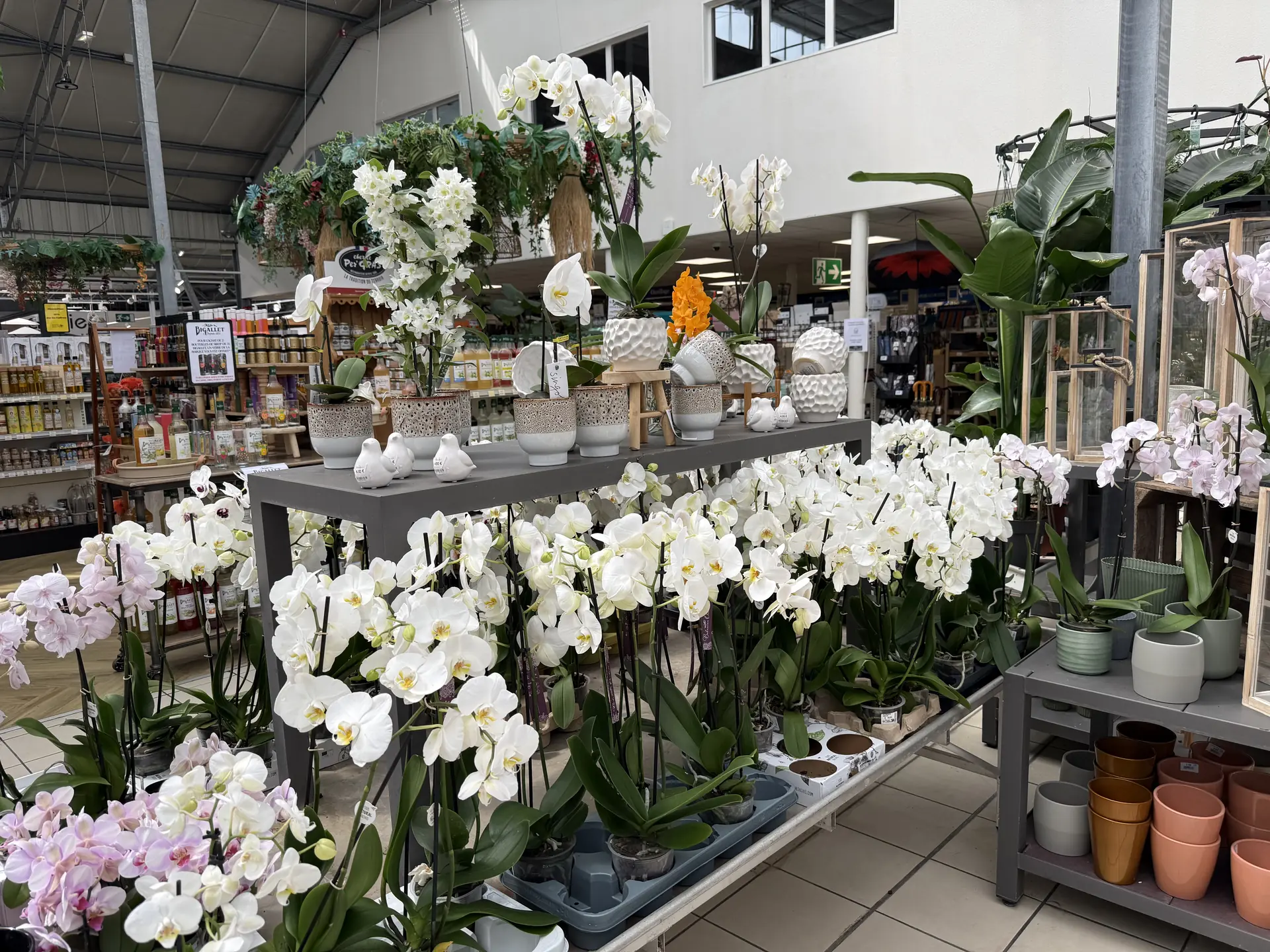 Offrez du muguet
et semez