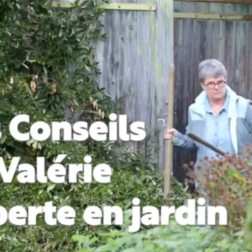 Automne 2023 – Les conseils de Valérie experte en jardin