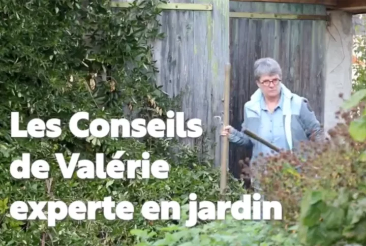 Automne 2023 – Les conseils de Valérie experte en jardin