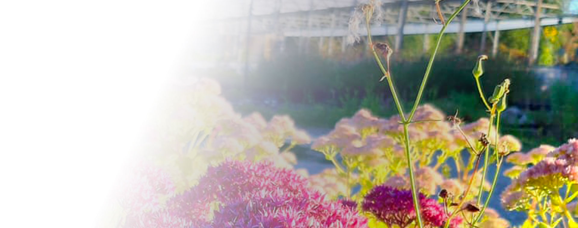 Image Slider