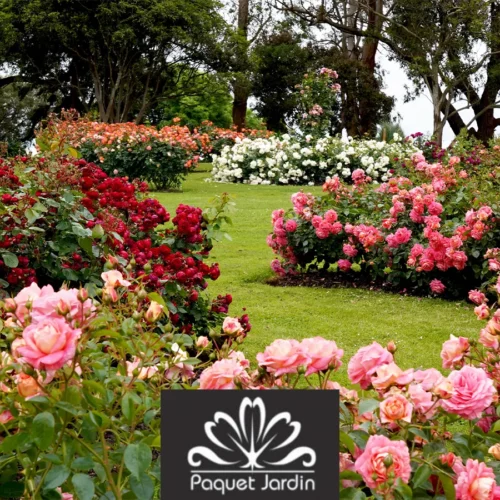 Les Conseils du Jardinier pour le Mois de Mars