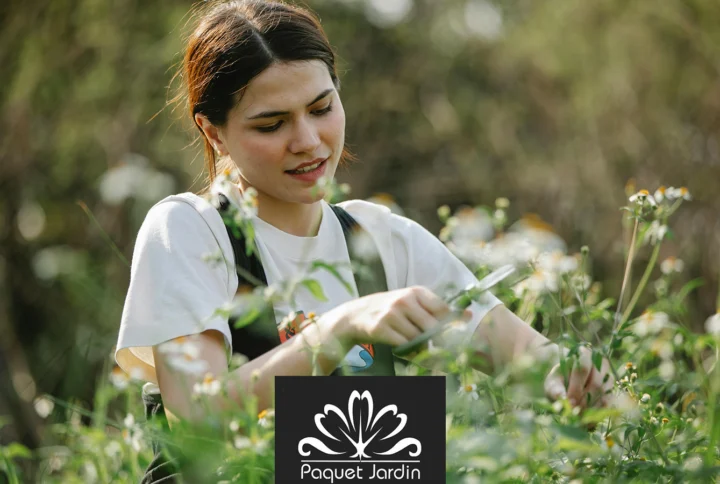 Réveil du jardin : tailles, plantations et premiers semis en extérieur