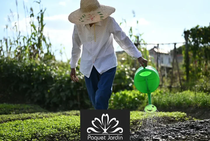Protéger son jardin des fortes chaleurs et optimiser l’arrosage