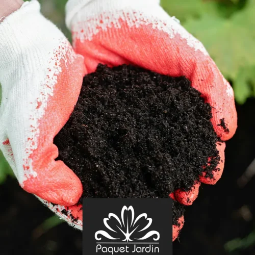 Créer un compost efficace : astuces et erreurs à éviter