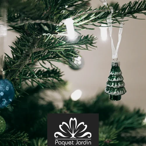 Idées de cadeaux pour les passionnés de jardinage