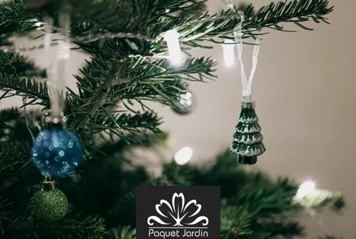 Idées de cadeaux pour les passionnés de jardinage