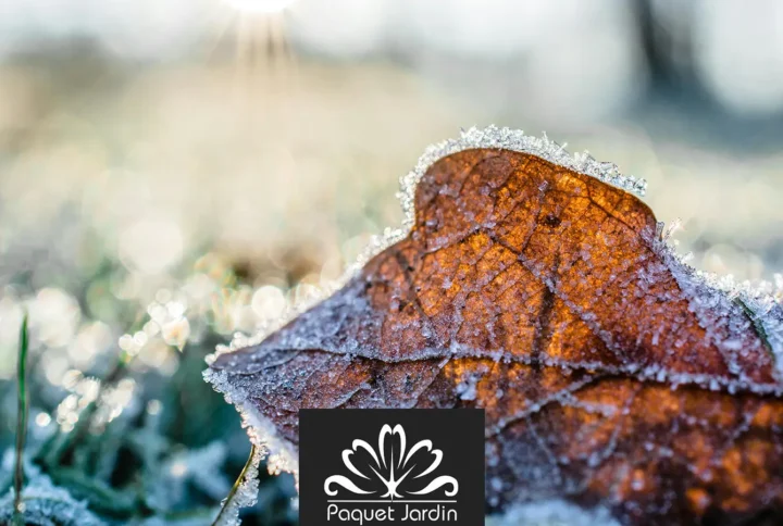 Préparer son jardin pour l’hiver : 5 étapes rssentielles