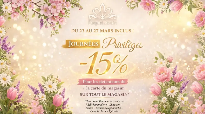 Popup promotionnelle