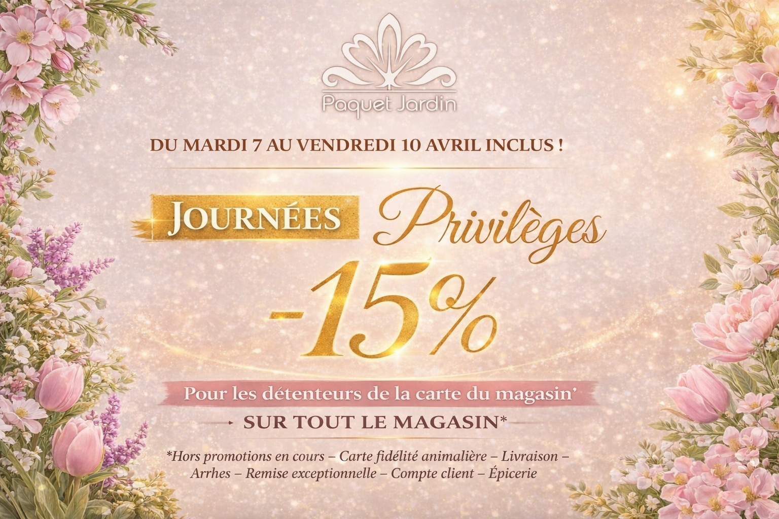 Popup promotionnelle