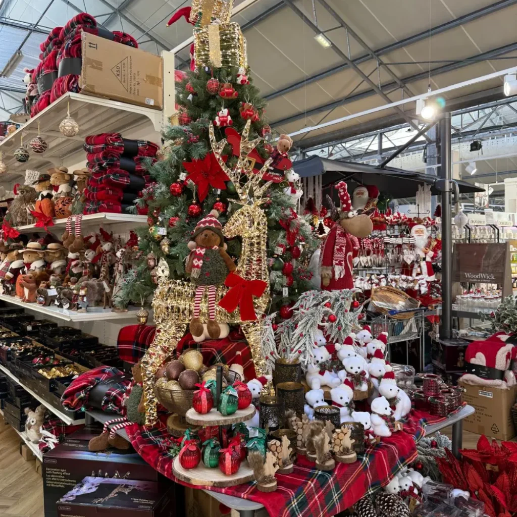 WhatsApp Image 2025-11-17 at 16.21.20 (4)